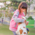 pets