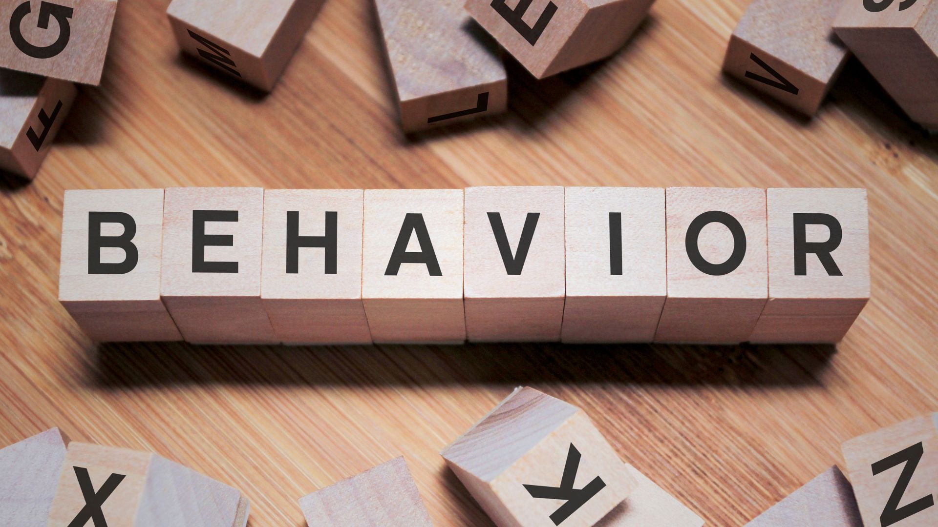 What Are The 3 Major Types Of Behavioral Learning